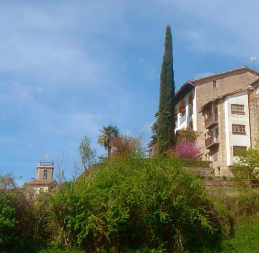 Cal Tofones, Baixos 2. Allotjament Turistic A Borredá المظهر الخارجي الصورة